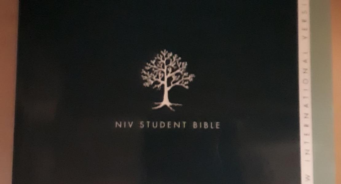 NIV student bible
