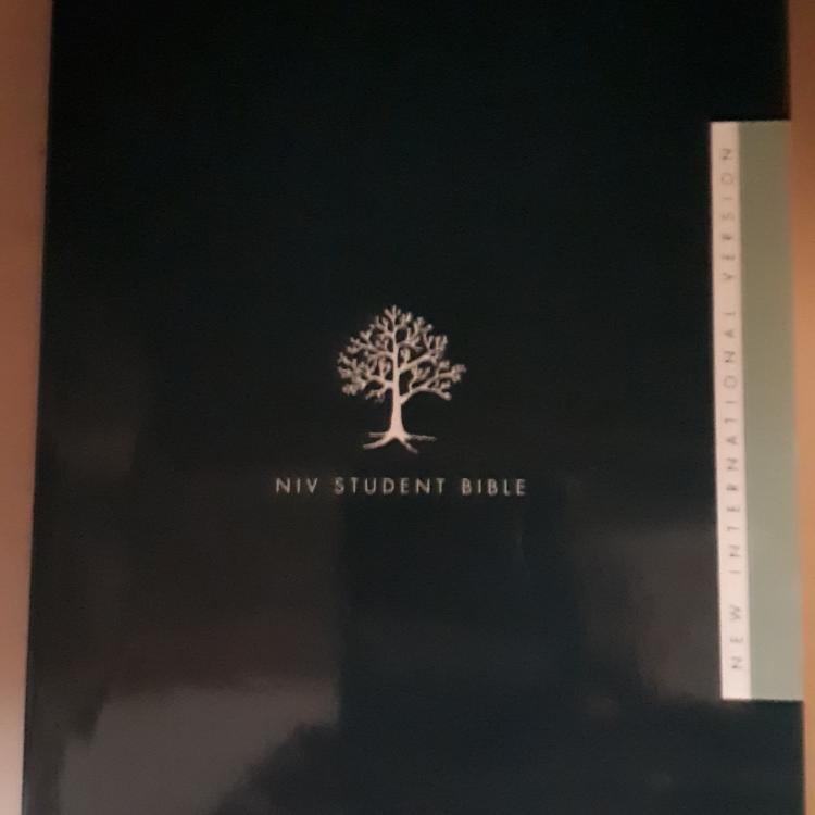 NIV student bible